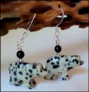 Dalmatian Jasper Walking BEAR
