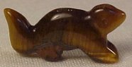 Tigereye Squirrel