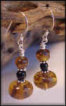 Amber1.jpg (41512 bytes)