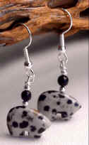 Dalmatian Jsper Zuni Bears